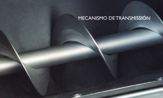 movimiento interno de las semillas